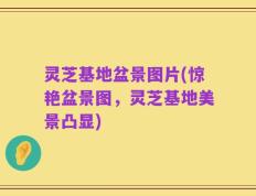 灵芝基地盆景图片(惊艳盆景图，灵芝基地美景凸显)