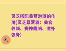 灵芝搭配桑葚泡酒的作用(灵芝桑葚酒：美容养颜、提神醒脑、滋补强身)