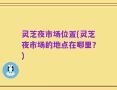 灵芝夜市场位置(灵芝夜市场的地点在哪里？)