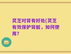 灵芝对肾有好处(灵芝有效保护肾脏，如何使用？