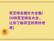 灵芝排名图片大全集(50种灵芝排名大全，让你了解灵芝的奇妙世界)