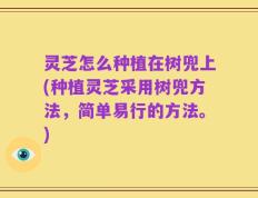 灵芝怎么种植在树兜上(种植灵芝采用树兜方法，简单易行的方法。)