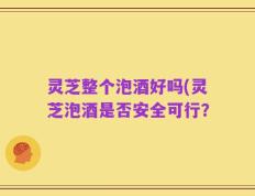 灵芝整个泡酒好吗(灵芝泡酒是否安全可行？