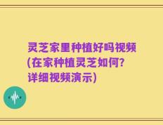 灵芝家里种植好吗视频(在家种植灵芝如何？详细视频演示)