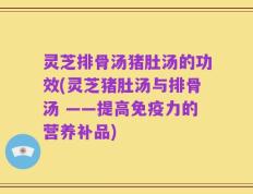 灵芝排骨汤猪肚汤的功效(灵芝猪肚汤与排骨汤 ——提高免疫力的营养补品)