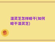 湿灵芝怎样晾干(如何晾干湿灵芝)