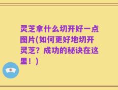 灵芝拿什么切开好一点图片(如何更好地切开灵芝？成功的秘诀在这里！)