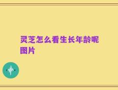 灵芝怎么看生长年龄呢图片