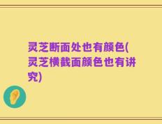 灵芝断面处也有颜色(灵芝横截面颜色也有讲究)