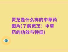 灵芝是什么样的中草药图片(了解灵芝：中草药的功效与特征)