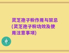 灵芝孢子粉作用与禁忌(灵芝孢子粉功效及使用注意事项)