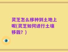 灵芝怎么移种到土地上呢(灵芝如何进行土壤移栽？)