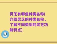 灵芝有哪些种类名称(介绍灵芝的种类名称，了解不同类型的灵芝功能特点)
