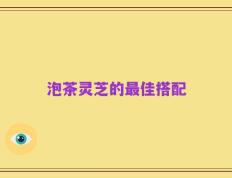 泡茶灵芝的最佳搭配