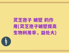 灵芝孢子 破壁 的作用(灵芝孢子破壁提高生物利用率，益处大)