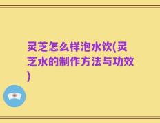 灵芝怎么样泡水饮(灵芝水的制作方法与功效)