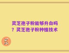 灵芝孢子粉能够升白吗？灵芝孢子粉种植技术
