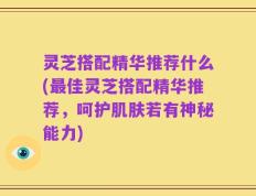 灵芝搭配精华推荐什么(最佳灵芝搭配精华推荐，呵护肌肤若有神秘能力)