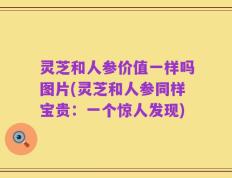 灵芝和人参价值一样吗图片(灵芝和人参同样宝贵：一个惊人发现)