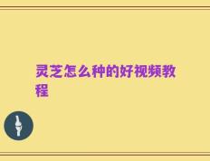 灵芝怎么种的好视频教程