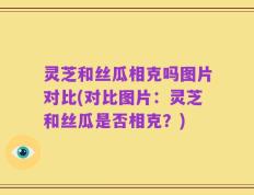灵芝和丝瓜相克吗图片对比(对比图片：灵芝和丝瓜是否相克？)
