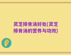 灵芝排骨汤好处(灵芝排骨汤的营养与功效)