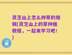 灵芝山上怎么种草的视频(灵芝山上的草种植教程，一起来学习吧！)