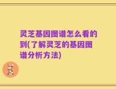 灵芝基因图谱怎么看的到(了解灵芝的基因图谱分析方法)