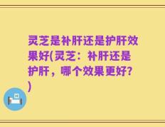 灵芝是补肝还是护肝效果好(灵芝：补肝还是护肝，哪个效果更好？)