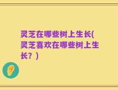 灵芝在哪些树上生长(灵芝喜欢在哪些树上生长？)