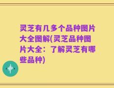 灵芝有几多个品种图片大全图解(灵芝品种图片大全：了解灵芝有哪些品种)