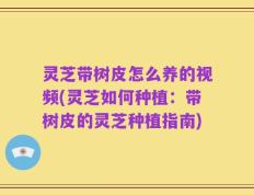 灵芝带树皮怎么养的视频(灵芝如何种植：带树皮的灵芝种植指南)