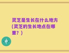 灵芝是生长在什么地方(灵芝的生长地点在哪里？)