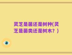 灵芝是菌还是树种(灵芝是菌类还是树木？)