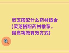 灵芝搭配什么药材适合(灵芝搭配药材推荐，提高功效有效方式)