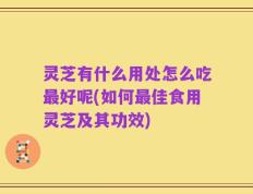 灵芝有什么用处怎么吃最好呢(如何最佳食用灵芝及其功效)