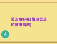 灵芝啥好处(发现灵芝的健康福利)