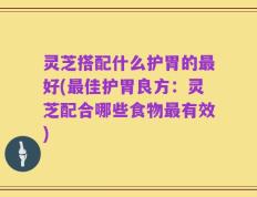 灵芝搭配什么护胃的最好(最佳护胃良方：灵芝配合哪些食物最有效)