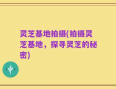 灵芝基地拍摄(拍摄灵芝基地，探寻灵芝的秘密)