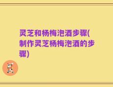 灵芝和杨梅泡酒步骤(制作灵芝杨梅泡酒的步骤)