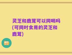 灵芝和鹿茸可以同喝吗(可同时食用的灵芝和鹿茸)