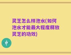 灵芝怎么样泡水(如何泡水才能最大程度释放灵芝的功效)