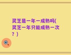 灵芝是一年一成熟吗(灵芝一年只能成熟一次？)