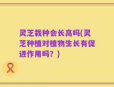 灵芝栽种会长高吗(灵芝种植对植物生长有促进作用吗？)