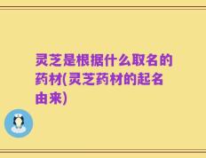 灵芝是根据什么取名的药材(灵芝药材的起名由来)