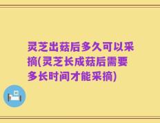 灵芝出菇后多久可以采摘(灵芝长成菇后需要多长时间才能采摘)