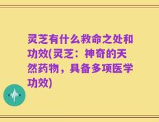 灵芝有什么救命之处和功效(灵芝：神奇的天然药物，具备多项医学功效)