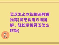 灵芝怎么吃饭插画教程推荐(灵芝食用方法图解，轻松掌握灵芝怎么吃饭)