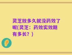 灵芝放多久就没药效了呢(灵芝：药效实效期有多长？)