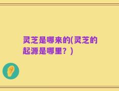 灵芝是哪来的(灵芝的起源是哪里？)